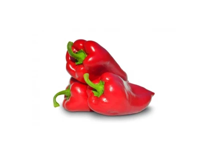 Navigator 1000 szem kápia paprika vetőmag