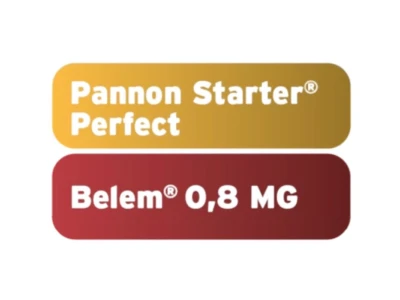 Pannon Starter Perfect + Belem 3:2 24kg talajfertőtlenítő csomag