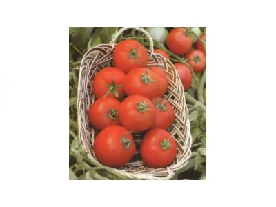 Polset 5 gr paradicsom vetőmag