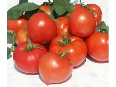 Prekos 250 szem paradicsom vetőmag