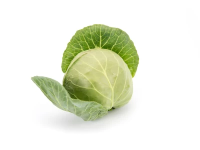 Pushma 2.500 szem fejes káposzta vetőmag