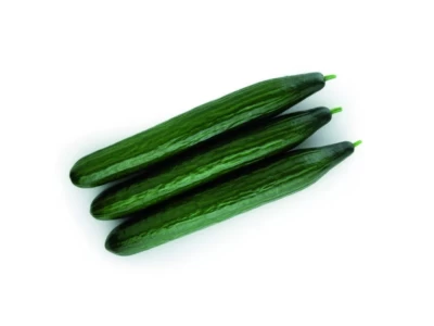 SV5047CE 100 szem kígyóuborka vetőmag