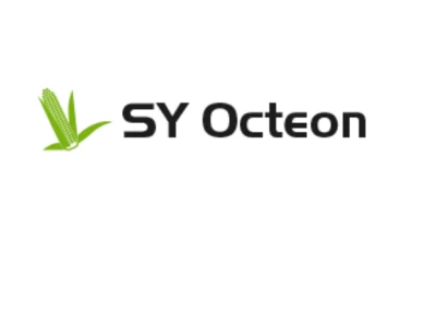 SY Octeon 50000 szem takarmány kukorica vetõmag
