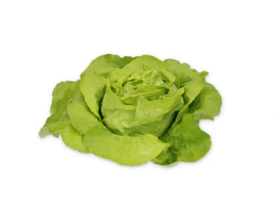 Sandeno 5.000 szem fejessaláta vetõmag