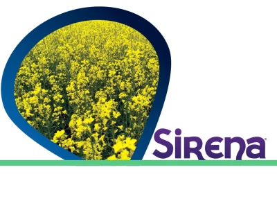 Sirena 5L gombaölő szer I.