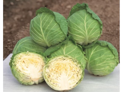 Sunta 2.500 szem fejes káposzta vetőmag