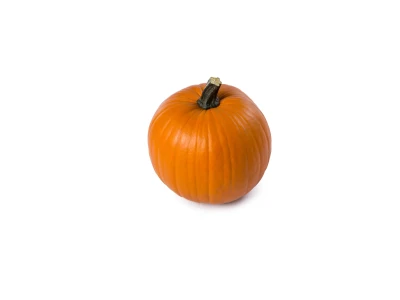 Terrafin 500szem halloween tök vetõmag