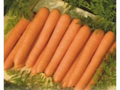 Tito 100 g sárgarépa vetőmag