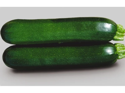 Tiziano 500 szem cukkini vetõmag