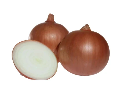 Utrero F1 100.000 szem vöröshagyma vetõmag