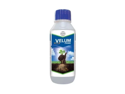 Velum Prime 1L fonálféregölõ szer II.