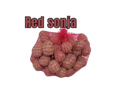 Vető burgonya Red Sonja 50 db-os