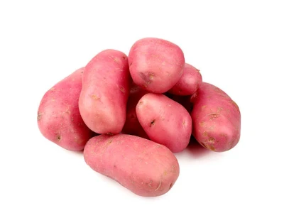 Desiree vető burgonya 50 db-os