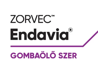 Zorvec Endavia 1L gombaölő szer II.